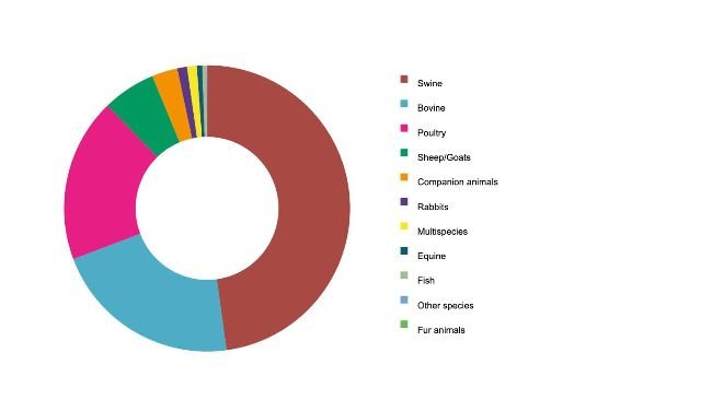Spanish feed production by species in 2020 (t). Source: MAPA.