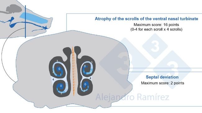 Atrophic Rhinitis - Swine Diseases Manual - pig333, pig to pork community