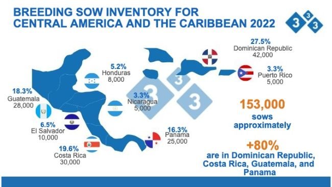 Source: Inventory calculations by the Economics and Market Intelligence Department of 333 Latin America, based on data from: CAPORC, ANAPOH, FEDEPORC, ANAPOR, ASPORC, CANIPORC, and APOGUA; July 2022. Figures in number of head; % share of total.