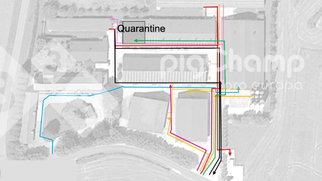 Figure 1. Movement routes, at the beginning.
