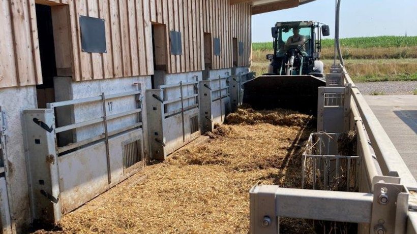 When opened, the barrier gate automatically lifts out of the straw onto the side concrete edge by means of special hinges – with the side of the Quick.Gate that can be swivelled on both sides being fixed to the barn. This allows it to be opened quickly and easily in two directions.
