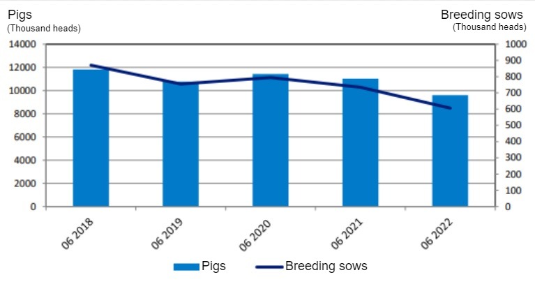 Evolution of the Polish pig inventory. Source: GUS.
