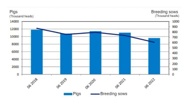 Evolution of the Polish pig inventory. Source: GUS.