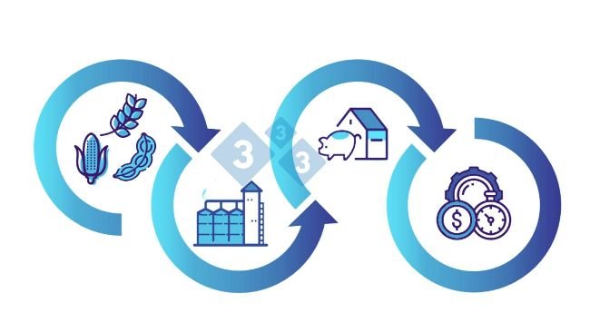 Figure&nbsp;1:&nbsp;Direct relationship that the feed mill has with the farm, and its consequences on the efficiency and final profitability of the business.
