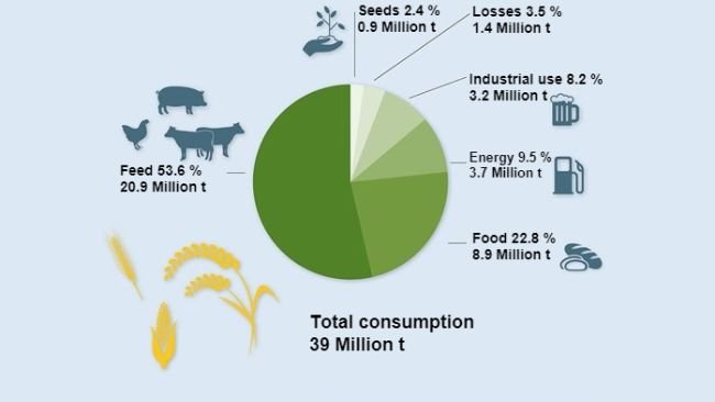 Use of grains 2021/22. Preliminary data. Source: BLE
