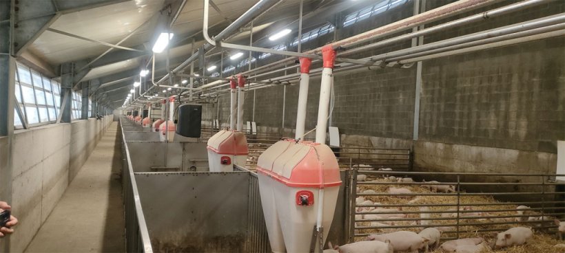 Photo 1. Weaning ban with a single sloped roof