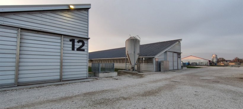 Photo 3. Single sloped roof