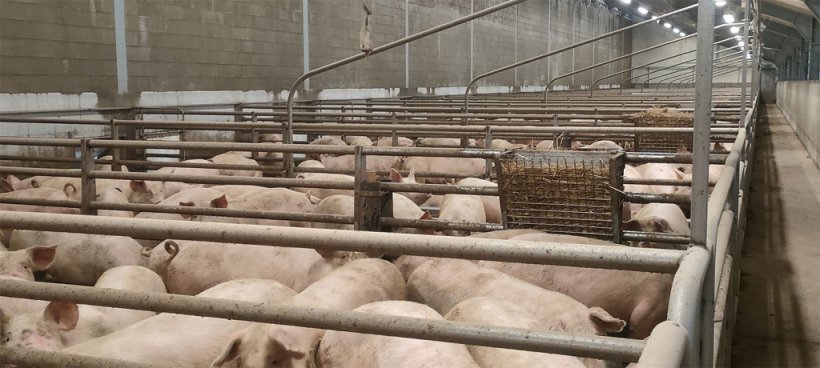 Photo 7. Finishing on solid pavement.