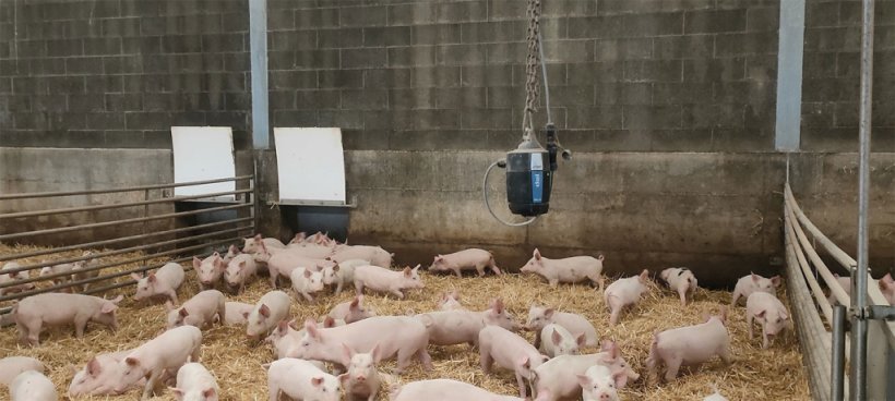 Photo 8. Sensors in all the barns.