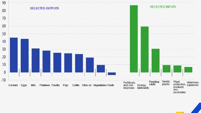 DEVELOPMENTS OF OUTPUT AND INPUT PRICE INDICES. (% changes, 2021-2022, EU estimates).