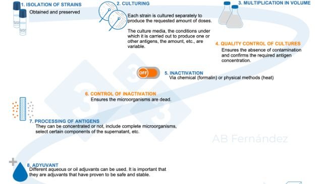 Figure 1. Schematic diagram of the manufacture of an autogenous vaccine.
