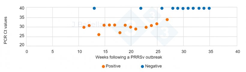 Figure&nbsp;1. Evolution of PCR Ct values in the weeks following a&nbsp;PRRS outbreak.
