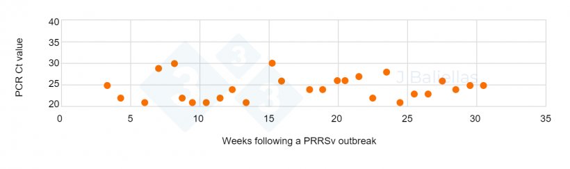 Figure&nbsp;2.&nbsp;Evolution of PCR Ct values in the weeks following a&nbsp;PRRS outbreak.
