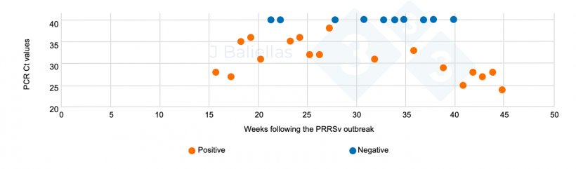 Figure&nbsp;4. Evolution of PCR Ct values in the weeks following the PRRS outbreak.

