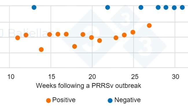 Figure 1. Evolution of PCR Ct values in the weeks following a PRRS outbreak.