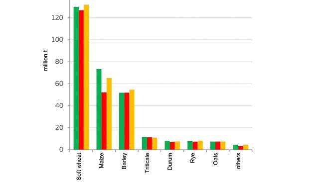 EU cereals production. Source: DG Agriculture and Rural Development, based on Eurostat, MS
notifications and JRC MARS data.