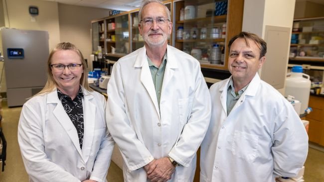 Randall Prather (middle), Kevin Wells (right), and Kristin Whitworth (left) all serve as scientists in the National Swine Resource and Research Center, where they work to move the needle on biomedical and agricultural innovation. Photo by Abbie Lankitus.