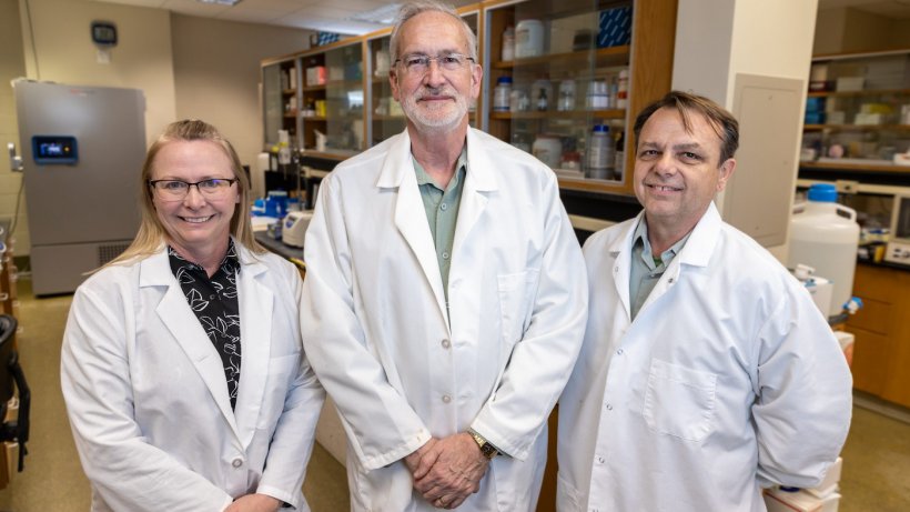 Randall Prather (middle), Kevin Wells (right), and Kristin Whitworth (left) all serve as scientists in the National Swine Resource and Research Center, where they work to move the needle on biomedical and agricultural innovation. Photo&nbsp;by Abbie Lankitus.
