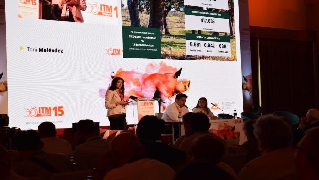 15th edition of the ITM meeting in Sevilla.