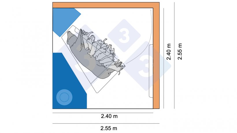Figure 4. Earlier pen measurements in Denmark were 2.4 x 2.4 m while newer designs are 2.55 x 2.55 allowing more space for large litters and movement options for the sow.&nbsp;
