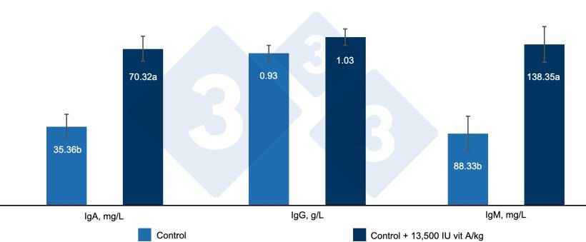 Figure 4. Effect of including 13500 IU vitamin A / kg feed on serum immunoglobulins in weaned piglets. a, b: Different letters indicate statistically significant differences (P < 0.05). Source: Hu et al (2020).