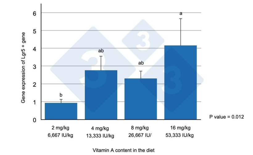 Figure 1. Expression of the Lgr5+ gene in the&nbsp;jejunum of weaned piglets fed with different levels of vitamin A. Different letters indicate statistically significant differences (p<0.05). Source: Wang et al. (2020)

