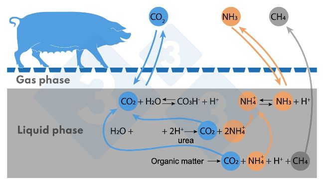 Figure 1. Simplified diagram of reactions affecting NH3 and CH4 emissions.
