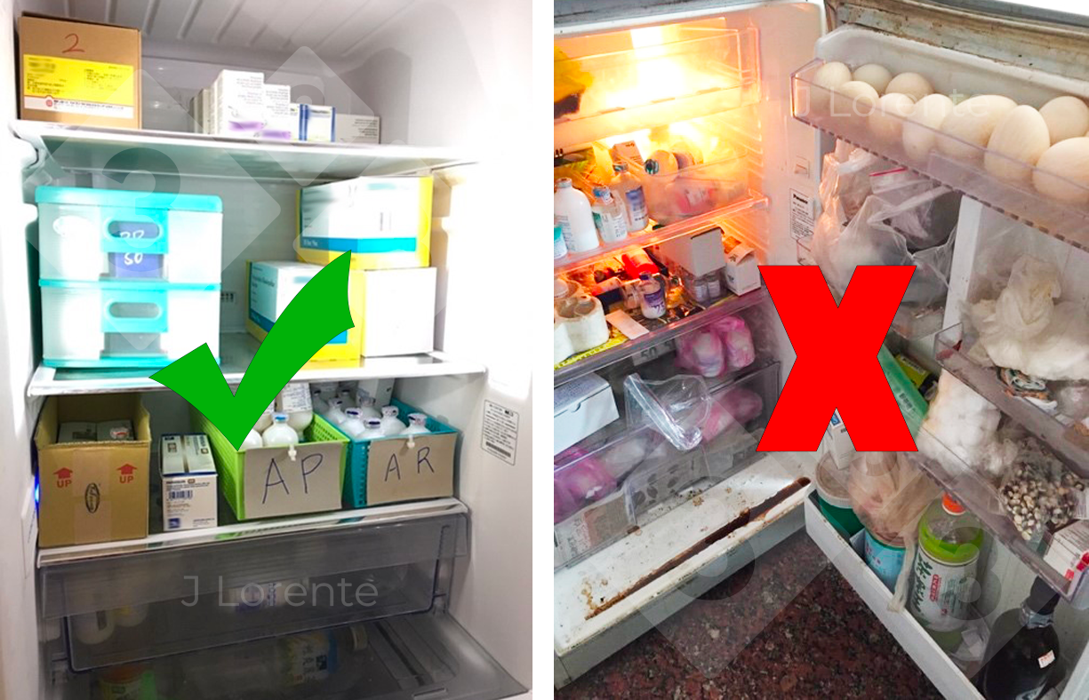 <p>Figure 2. Refrigerator in good condition (left) and refrigerator in poor condition (right).</p>
