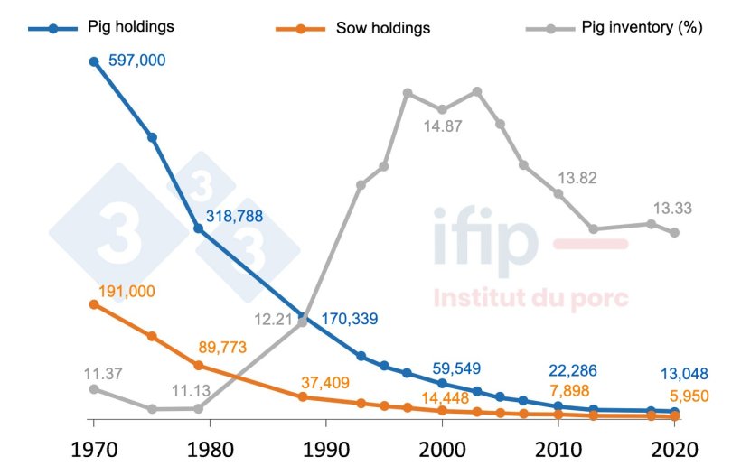 Evolution of the number of farms with pigs and the number of pigs in France from 1970 to 2020. Source: SSP-Agreste, RGA, RA, ESEA, data processing by IFIP.
