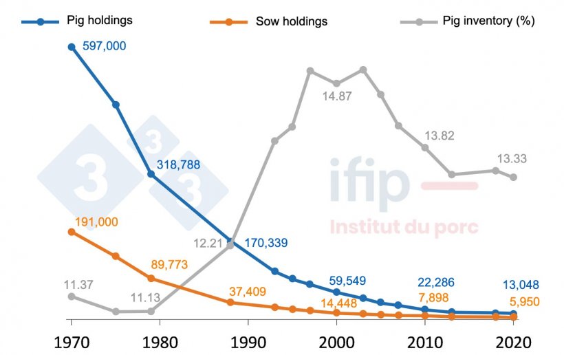 Evolution of the number of farms with pigs and the number of pigs in France from 1970 to 2020. Source: SSP-Agreste, RGA, RA, ESEA, data processing by IFIP.
