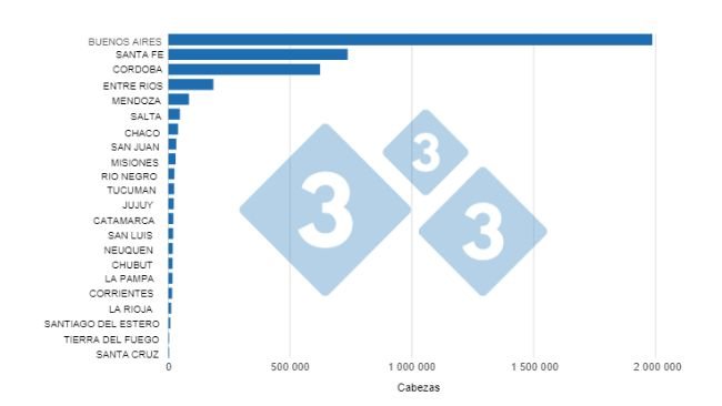 Graph 1. Cumulative pig slaughter in the first half of the year by province. Prepared by 333 Latin America with data from the Secretariat of Agriculture, Livestock and Fisheries of the Ministry of Economy of Argentina.