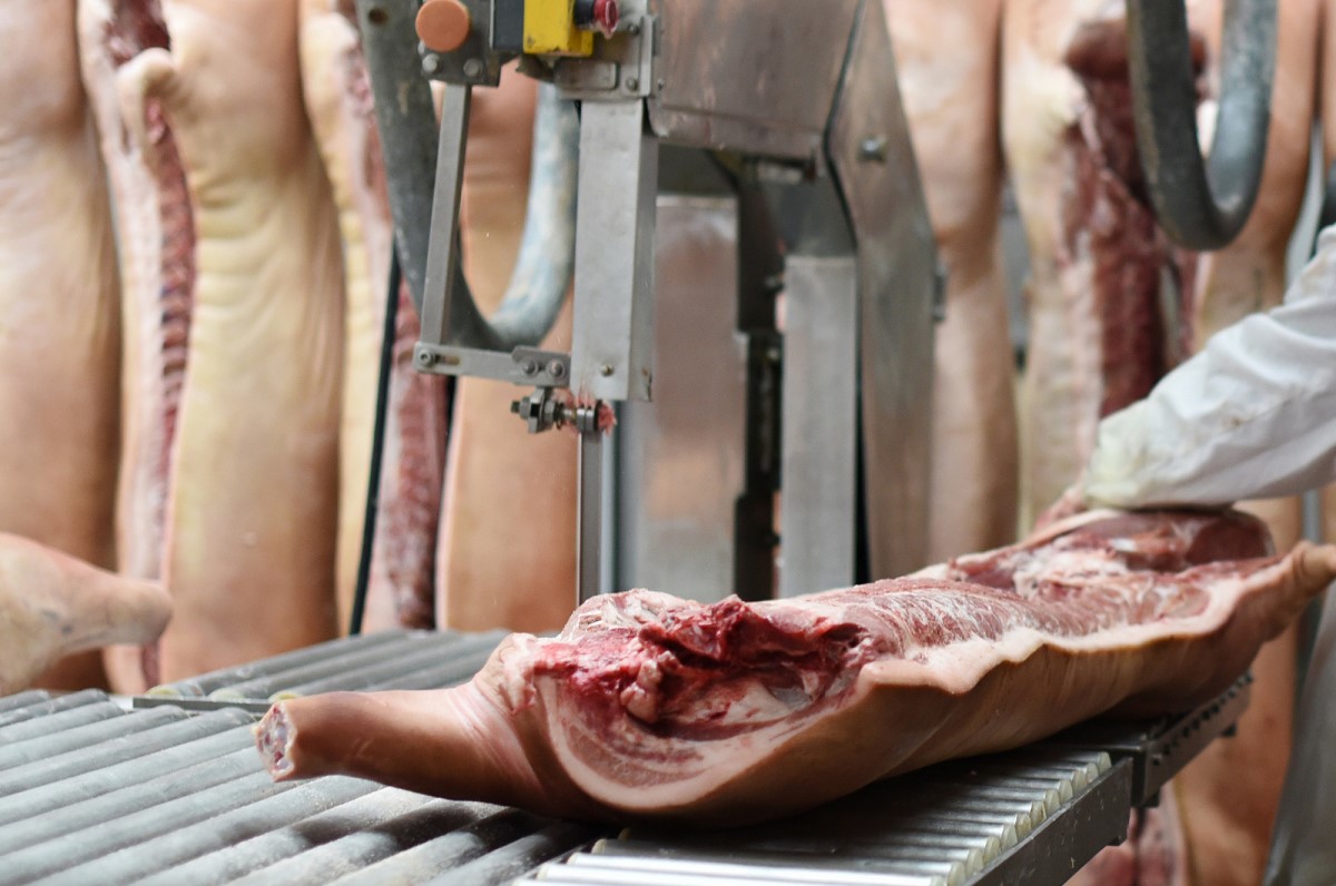 Russian beef exports up 40% – Swine information