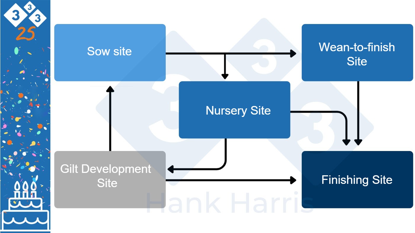 Multi-site Pig Manufacturing: have an effect on after 25 years of implementation – Articles