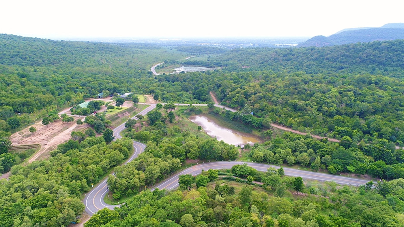 CP Meals earns reward for its two tree-growing tasks – Corporate information