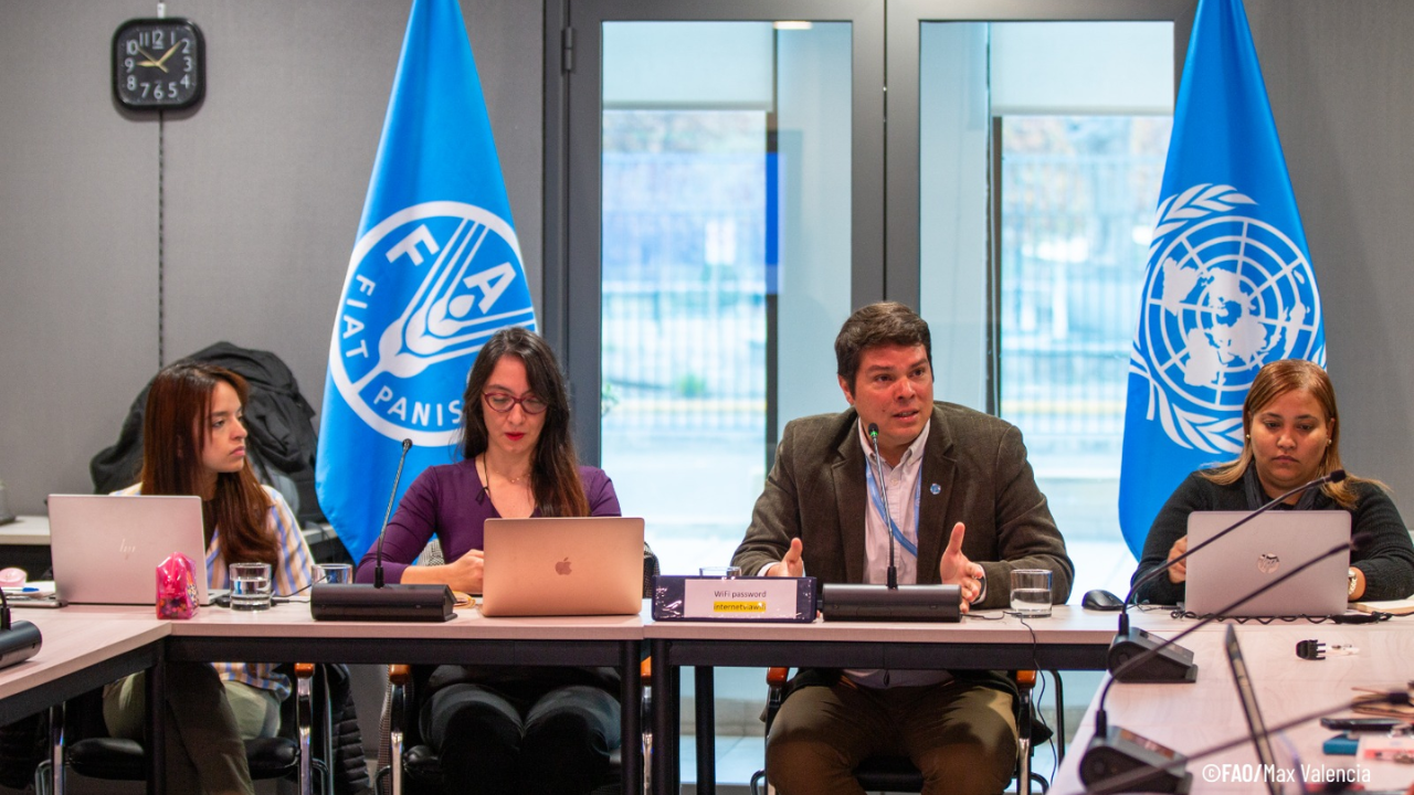 Guatemala and FAO unite to stop African swine fever – Swine information