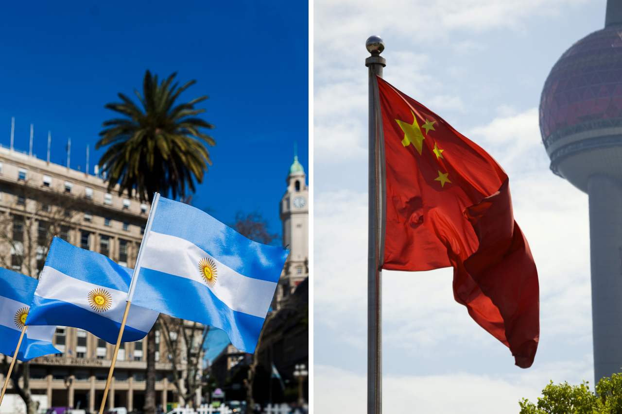 Argentina sees growth within the export of beef by-products to China – Swine information