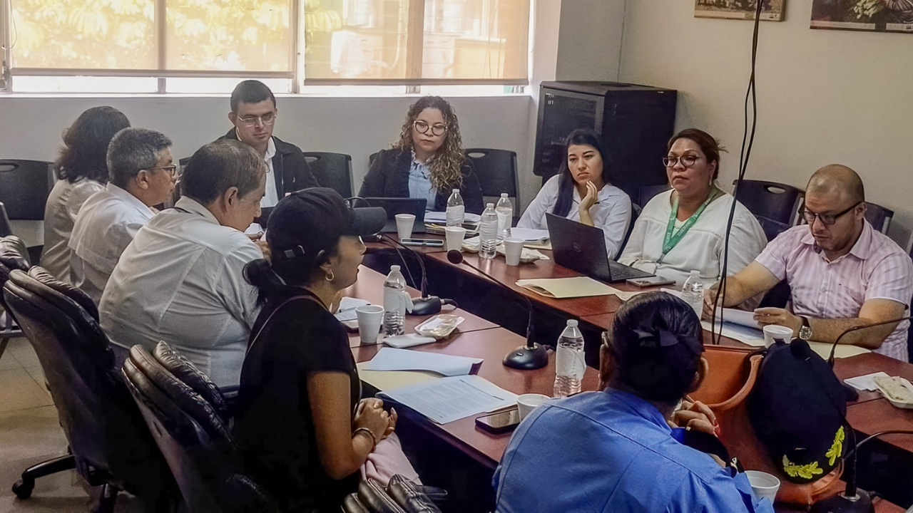 Honduras reactivates Nationwide Council for Animal Coverage, Welfare – Swine information