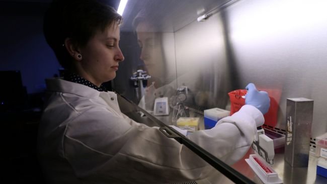 Lianna Walker, a post-doctoral research associate, working with gene edited cell lines to assess effect of host genotypes on viral infection.