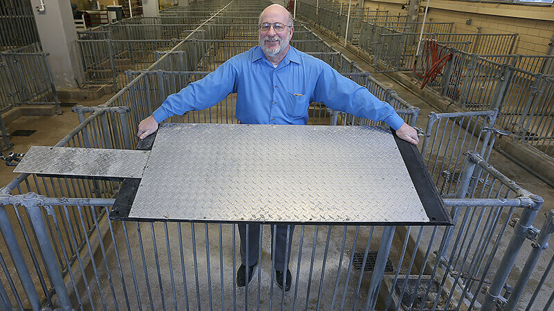 Robert M. Stwalley III, clinical associate professor in the Department of Agricultural and Biological Engineering at Purdue University, shows a cooling pad designed to keep hogs cool. IHT Group of Winnipeg, Manitoba, has signed an exclusive license and will manufacture and sell the pads in North America beginning spring 2024. (Purdue Agricultural Communication photo/Tom Campbell)