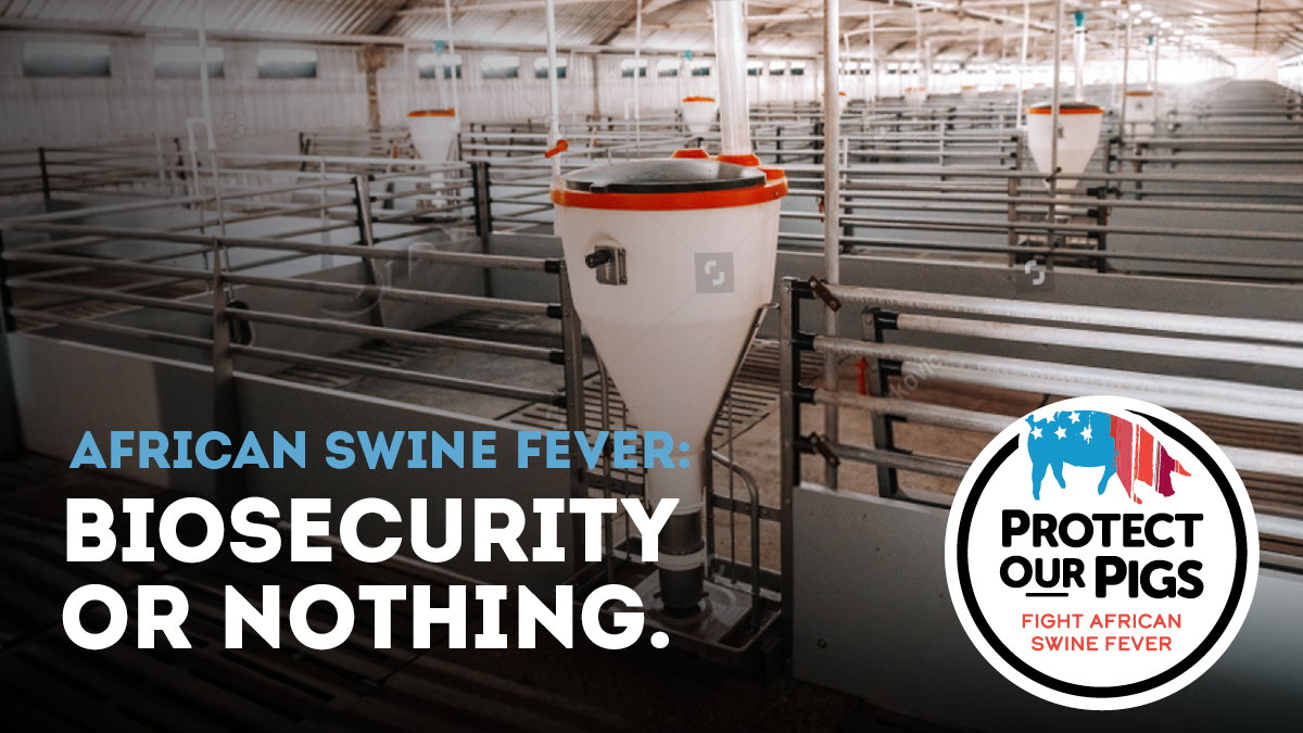 USDA hosts 3rd African swine fever motion week October 2 – 6, 2023 – Corporate information