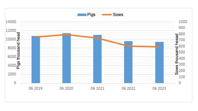 Figure 1. The evolution of the pig population in Poland. Source: Central Statistical Office, Poland.