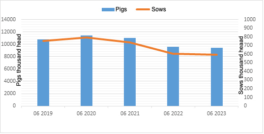Figure 1. The evolution of the pig population in Poland. Source: Central Statistical Office, Poland.
