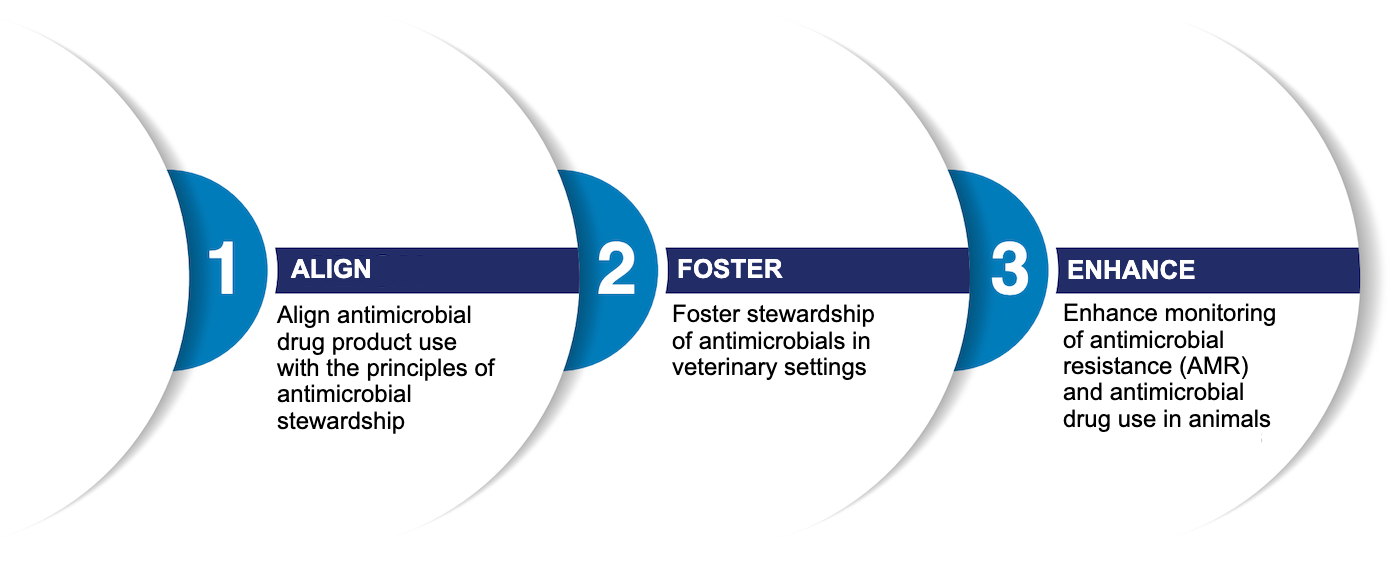 FDA plan for antimicrobial stewardship in veterinary settings 2024-28 – Swine information