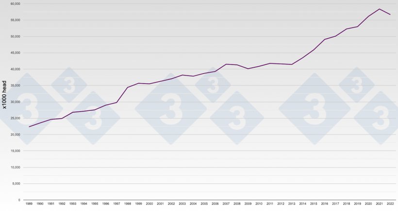 Graph 1. Evolution of pig production in Spain. Number of pigs slaughtered per year.
