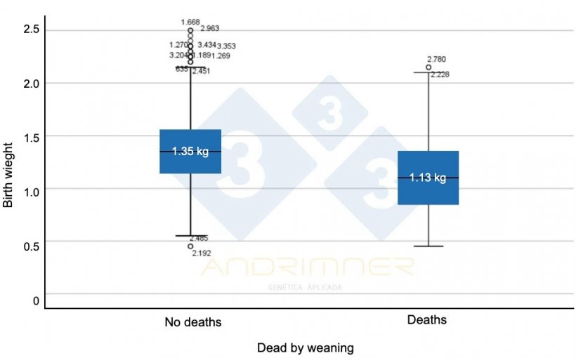 Graph&nbsp;4. Average birth weight of surviving piglets (&ldquo;no deaths&rdquo;) and average birth weight of deaths. Highly significant differences between the two groups ( F=155.713; p&lt;0.001) Source:&nbsp;Javier Lorente. Commercial farm, 3483 piglets weighed individually&nbsp;2021.
