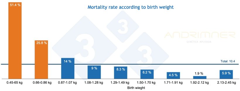 Graph 3. Mortality rate according to birth weight. Source: Javier Lorente. Commercial farm, 3483 piglets weighed individually 2021.
