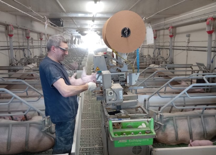 Individual identification including litter traceability is essential for conducting the various trials.
