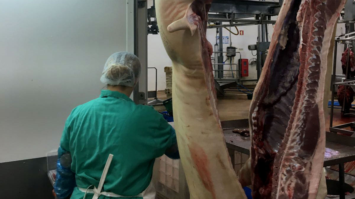 Knowledge from NAMI spotlight steady growth in U.S. meat sector – Swine information