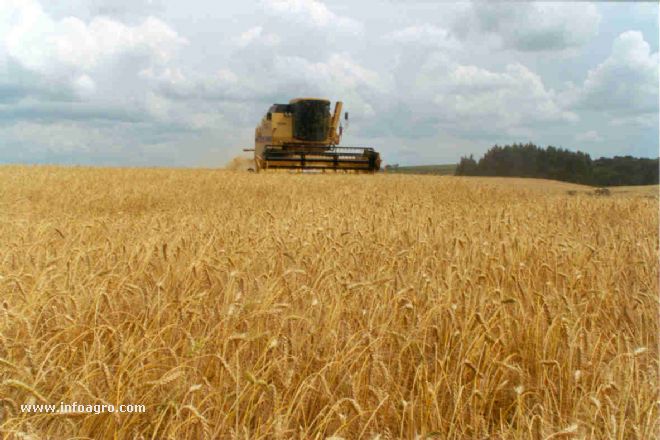 Spanish Presidency debriefs EP committees on priorities – Swine information