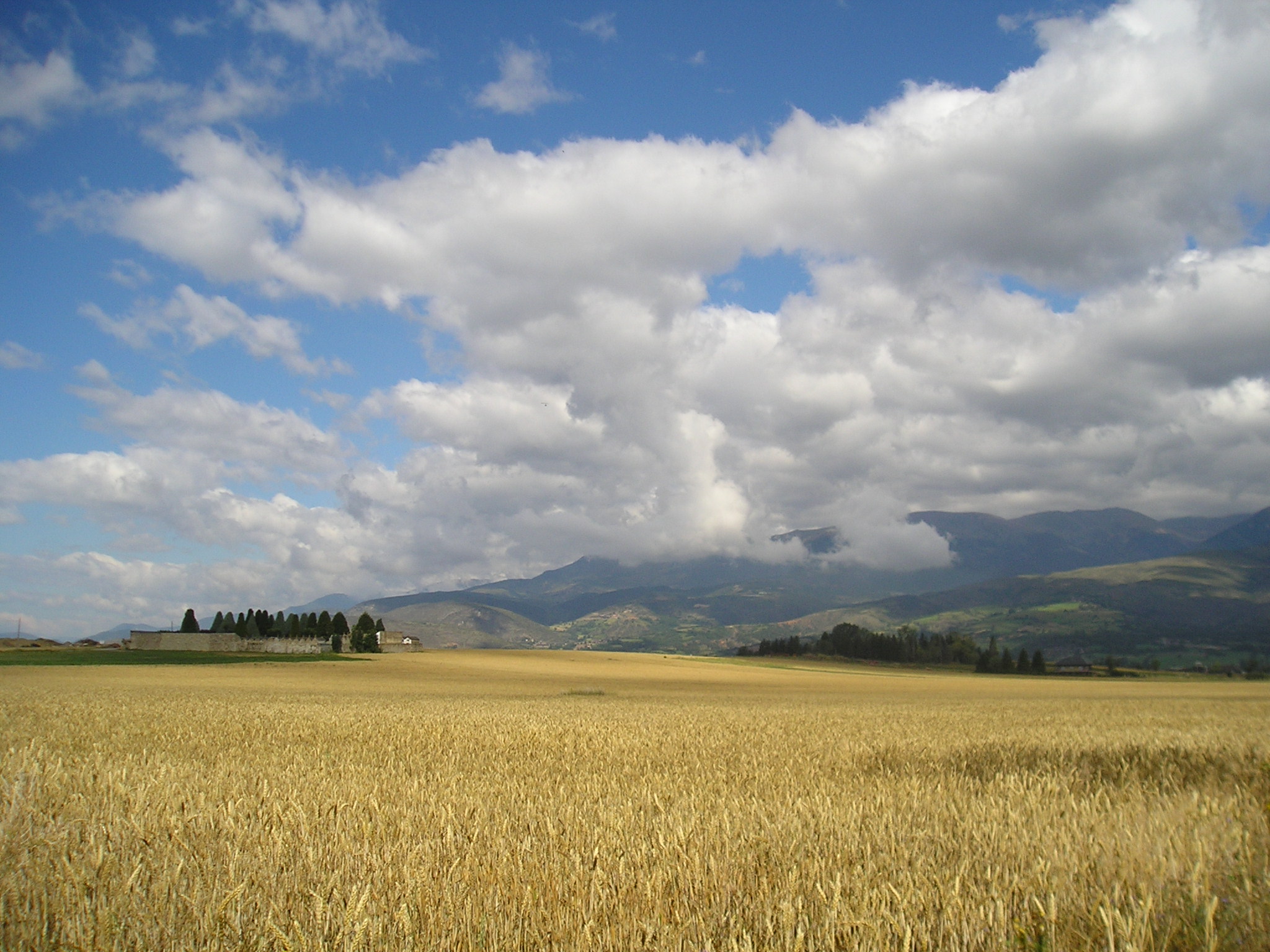 FAO cereal value index October 2023 – Swine information